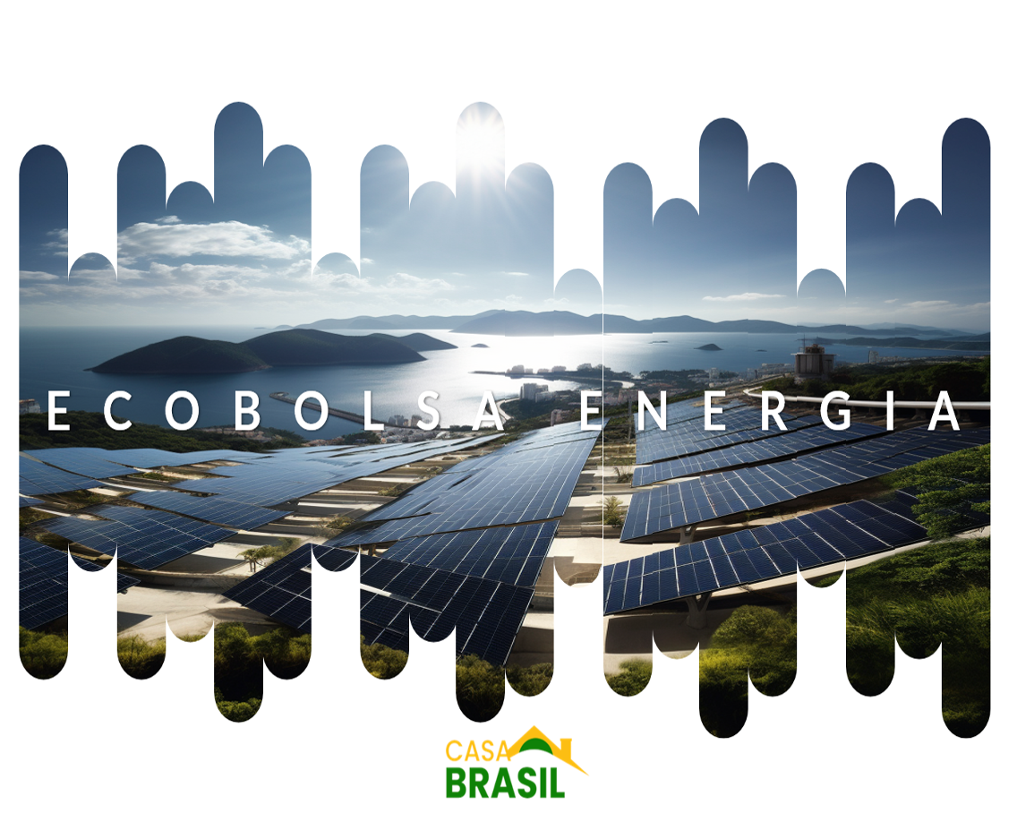 Ecobolsa Energia